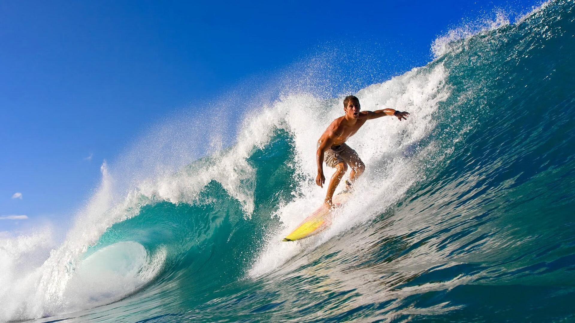 冠军球员赛后感言展现谦逊风度与团队精神,球赛获得冠军的说说